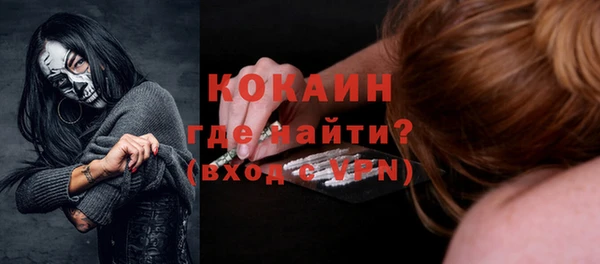 прущие грибы Тихвин