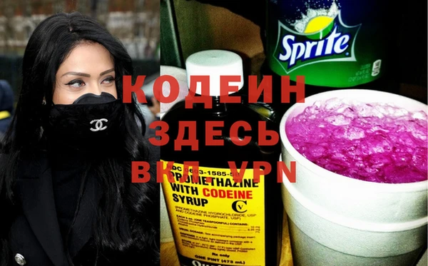 прущие грибы Тихвин