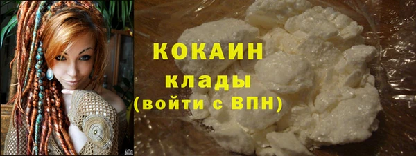 винт Гусь-Хрустальный