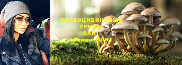винт Гусь-Хрустальный